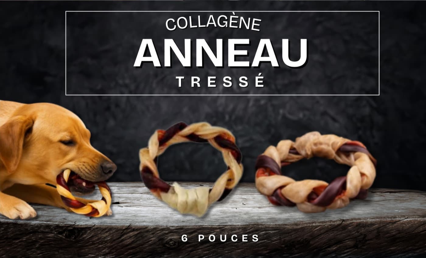 Anneau tressé collagène