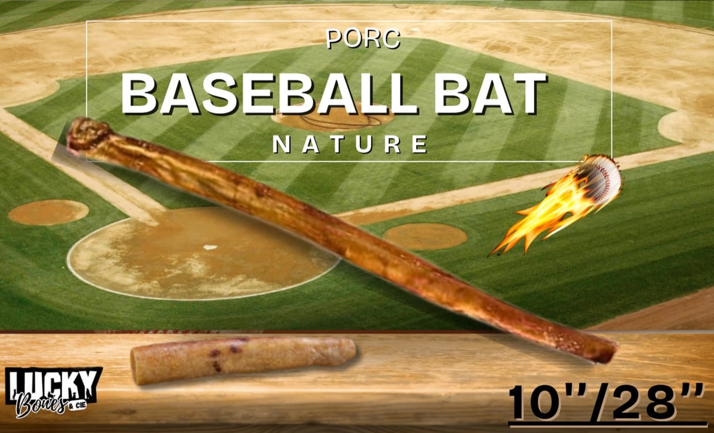 Baseball bat
