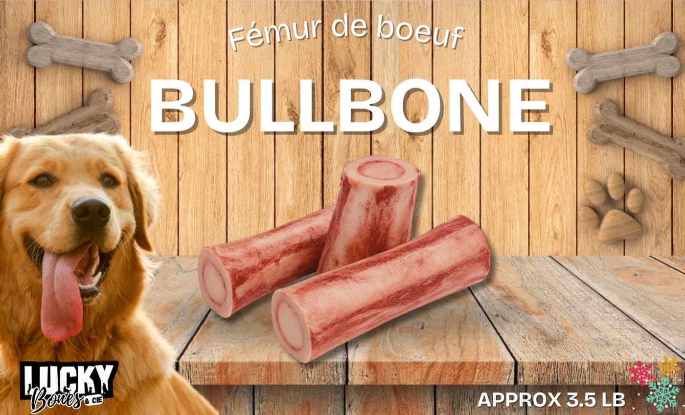 Bullbones