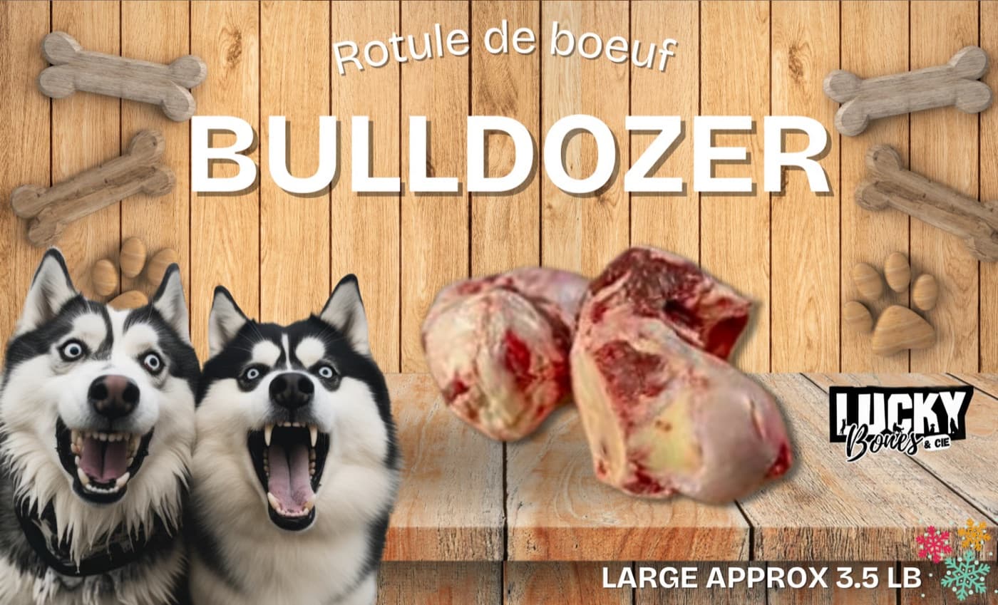 Bulldozzer