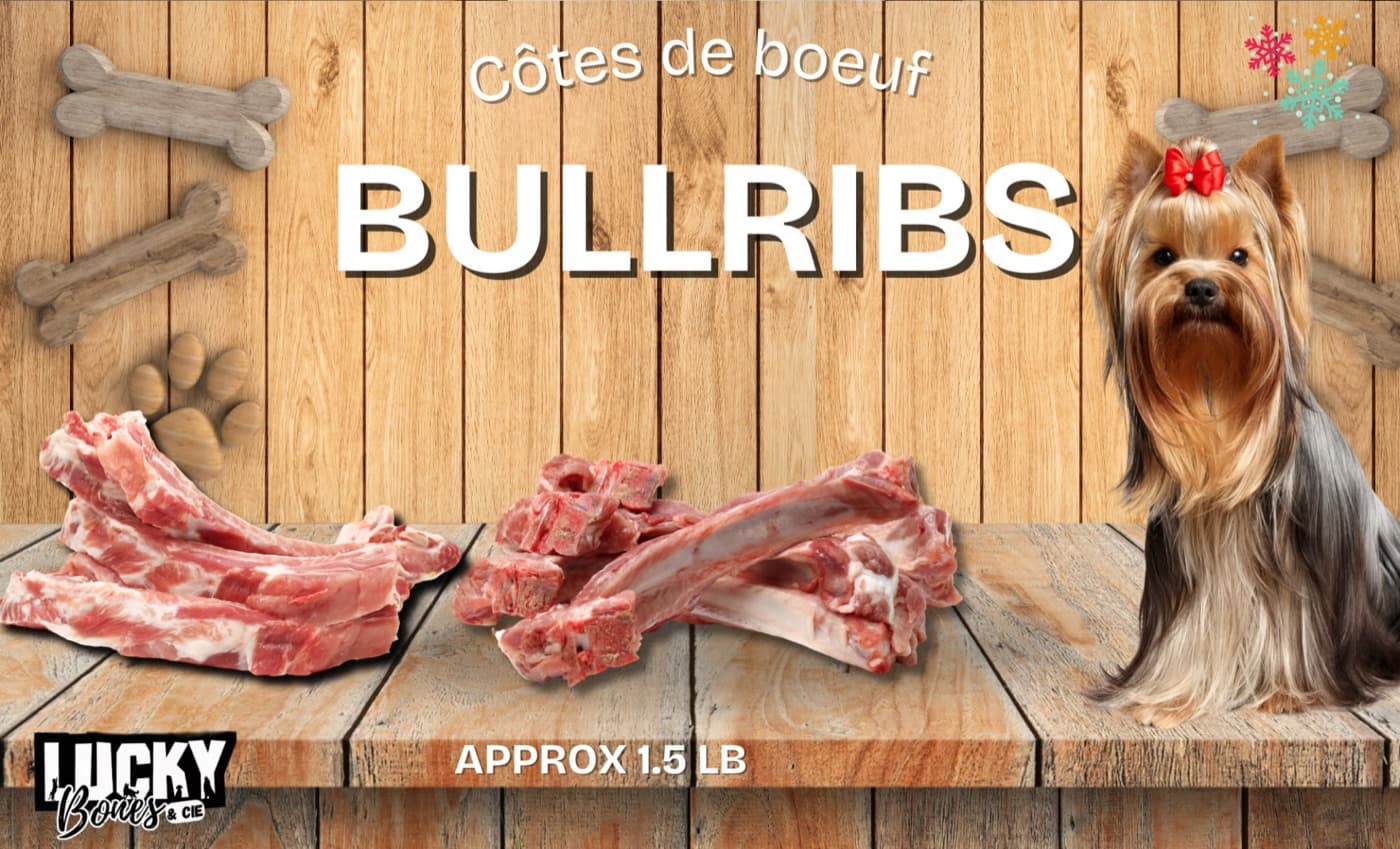 Bullribs