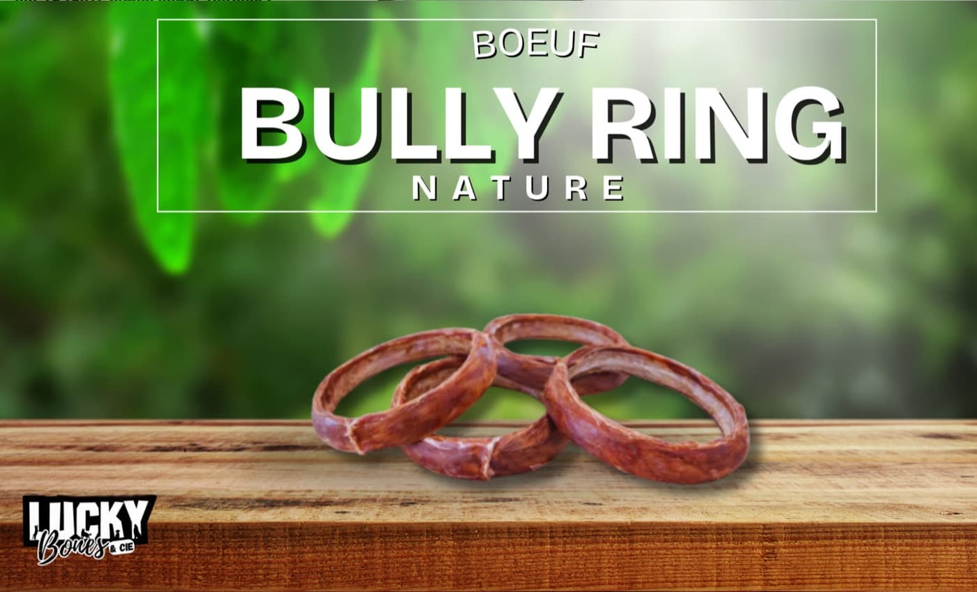 Bully Ring