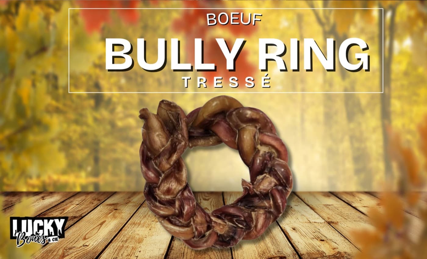 Bully stick tressé