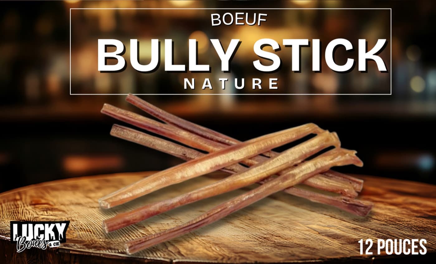 Bully stick