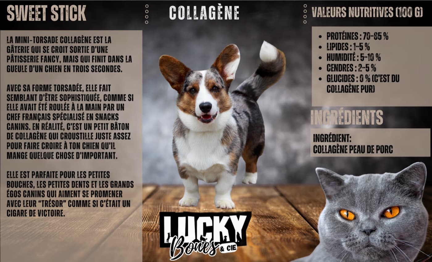 Collagène torsadé mini