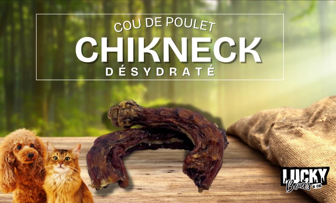 Cou de poulet déshydraté