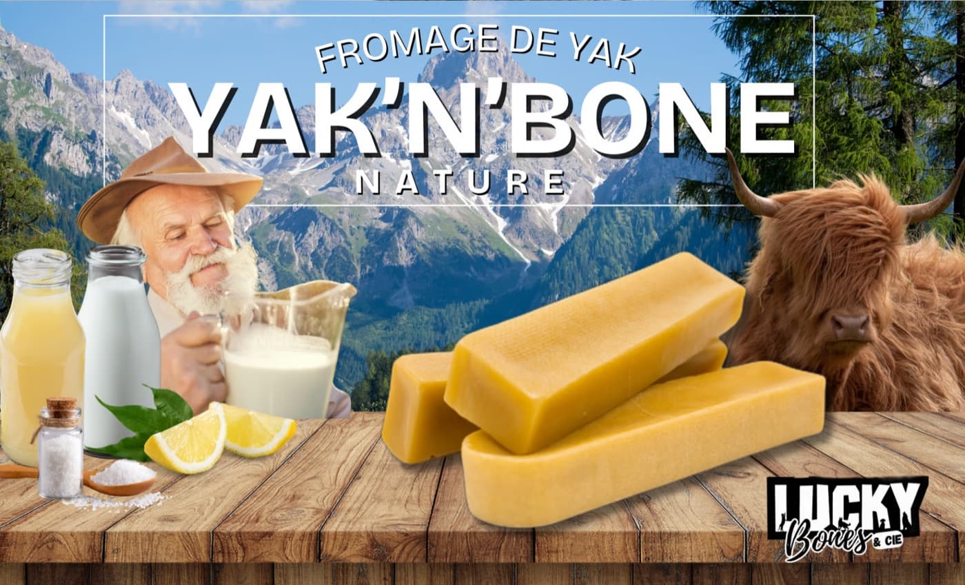 Fromage de yak
