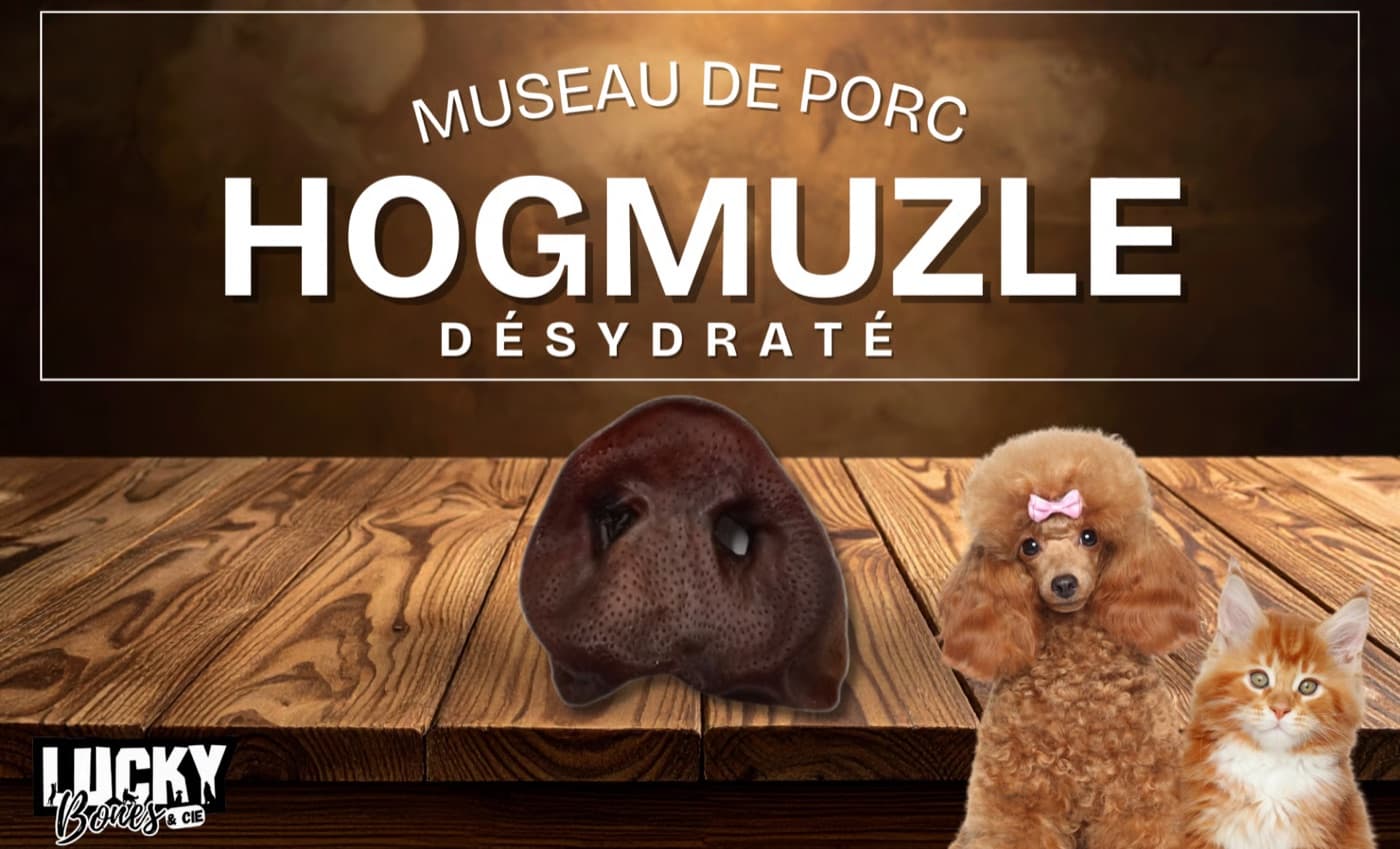Hog muzzle