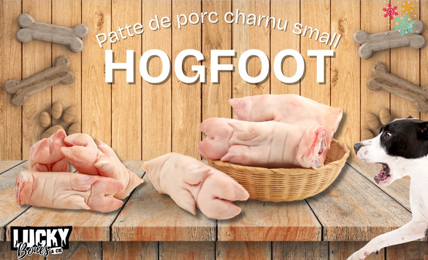 Hogfoot