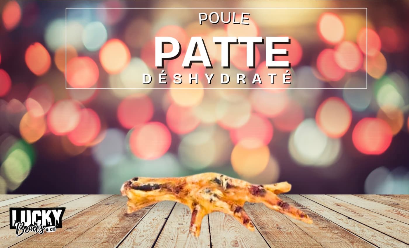 Patte de poule