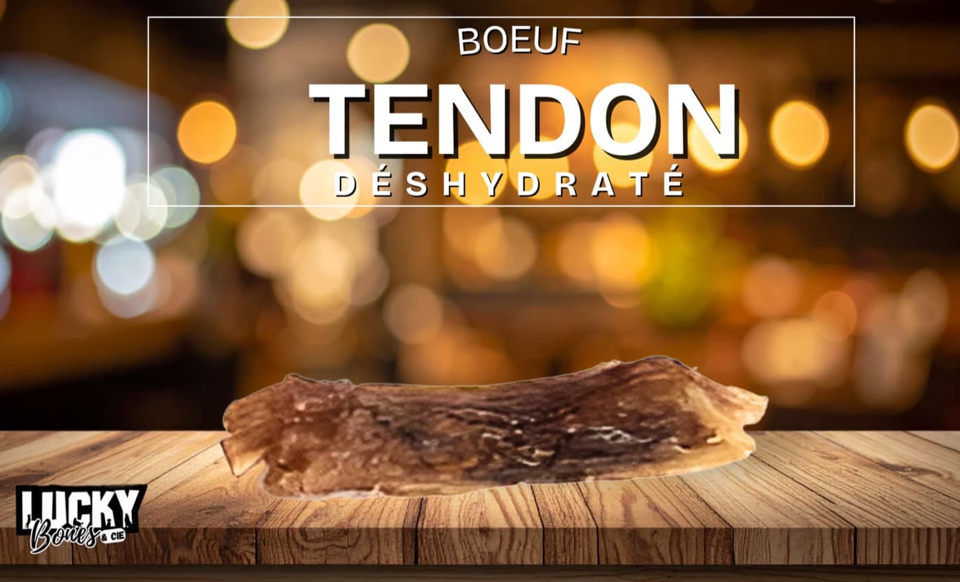 Tendon de bœuf
