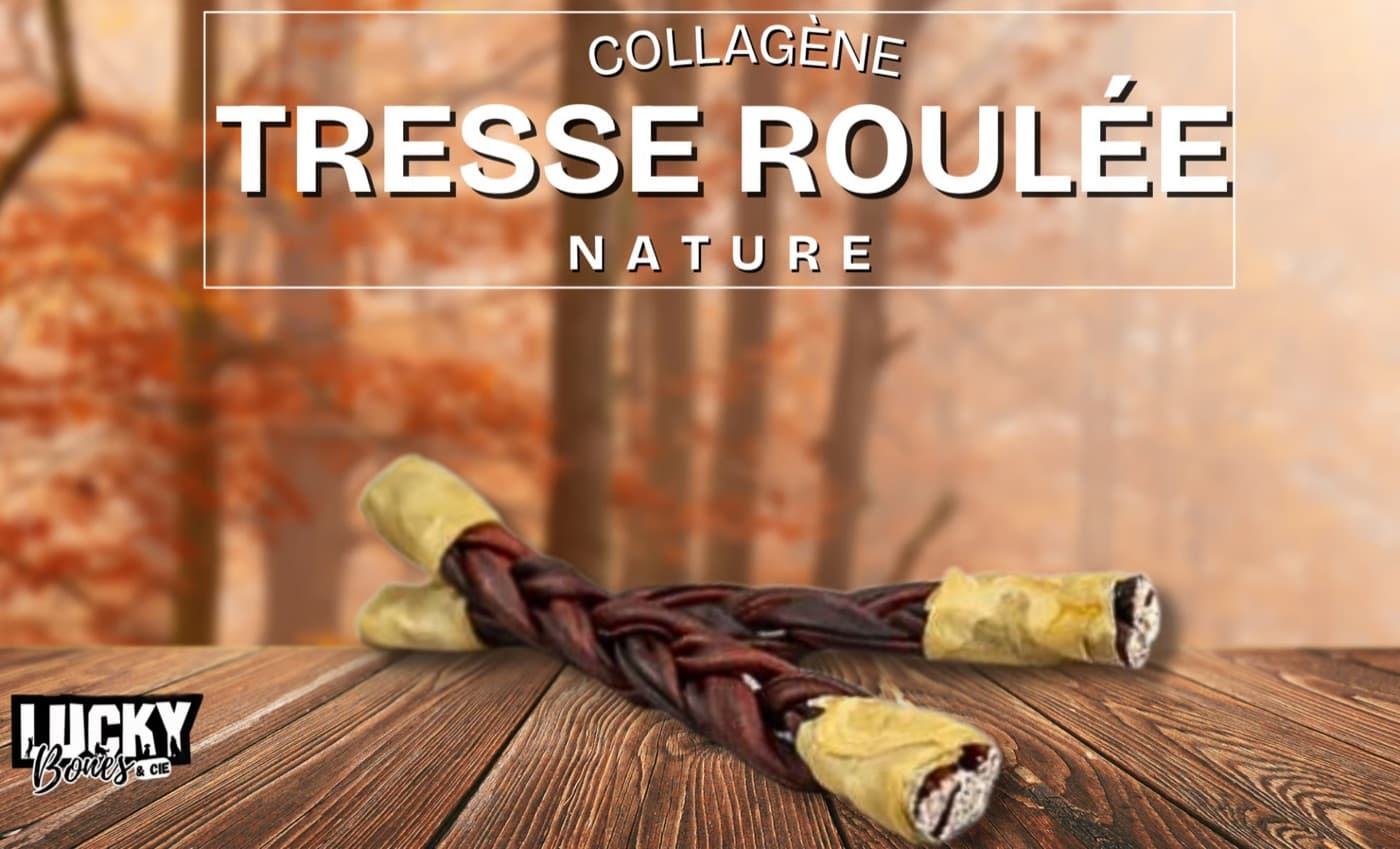 Tresse collagène (bout enveloppé)